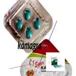 Meilleur site achat kamagra